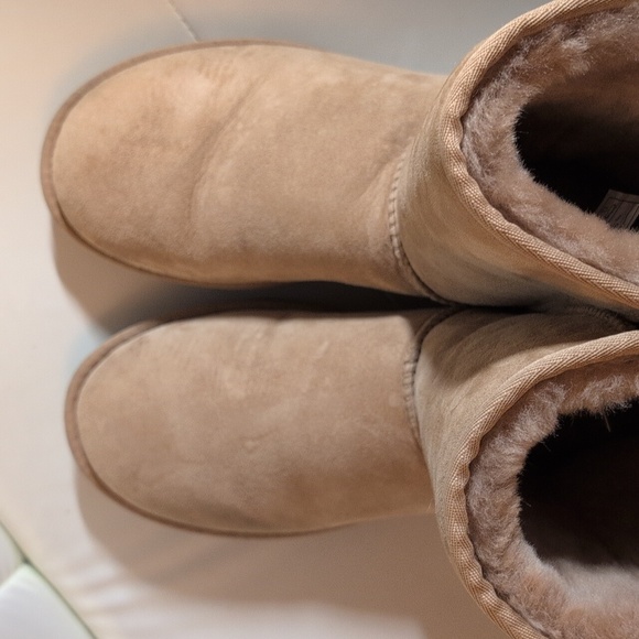 Classic UGG Chestnut Boots - Picture 4 of 10